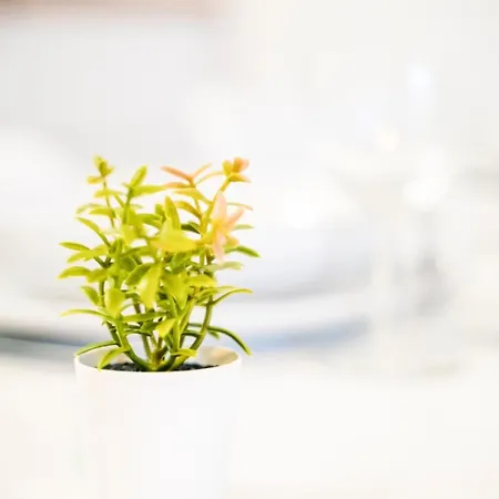 Apartman Studio - Centre Historique