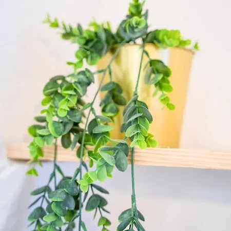 Studio - Centre Historique Apartman Agde